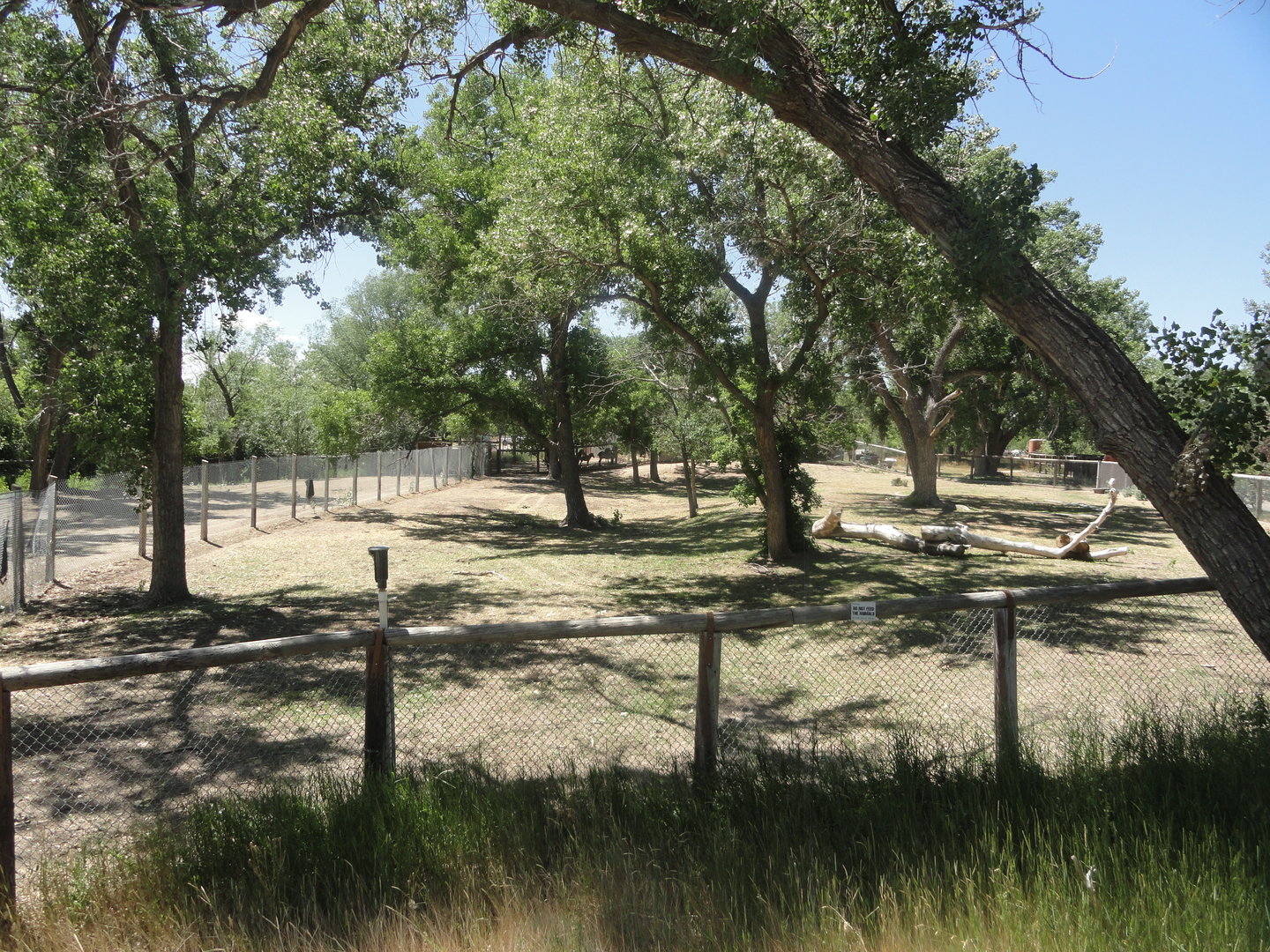 Plains Zebra Exhibit