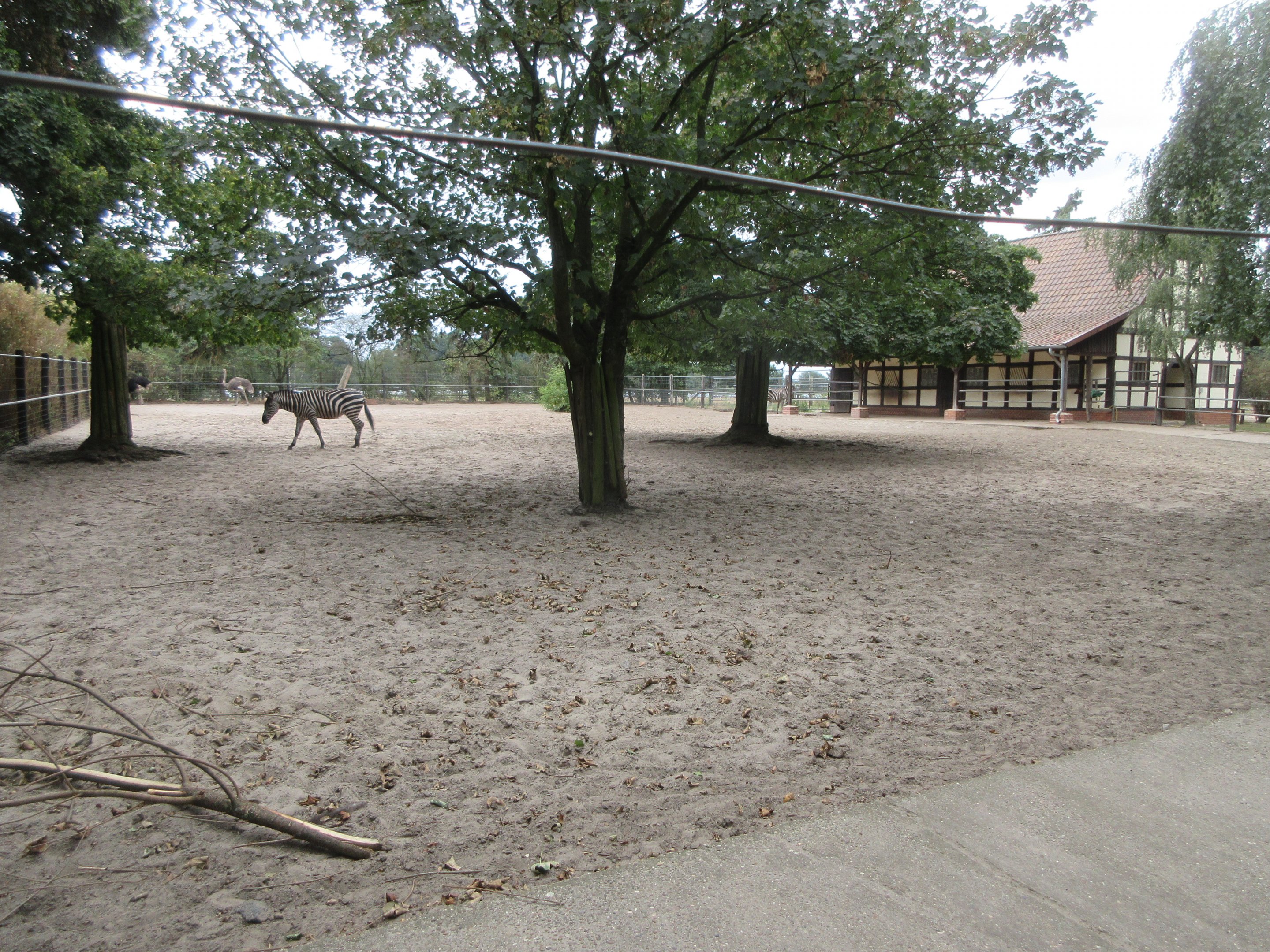 Plains Zebra/Ostrich Exhibit