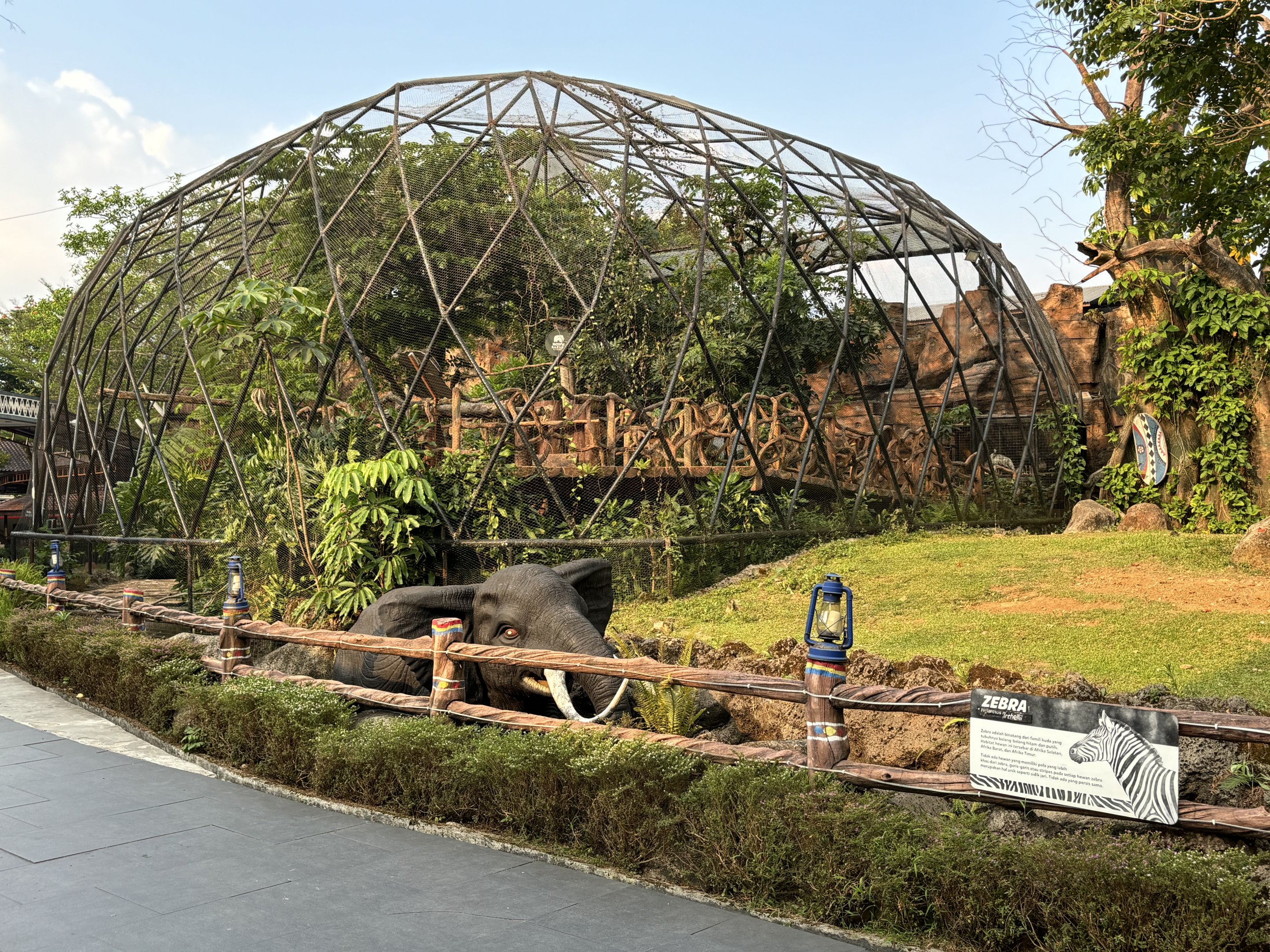 Plains Zebra + Ring-tailed Lemur Exhibits - Royal Safari Garden Resort