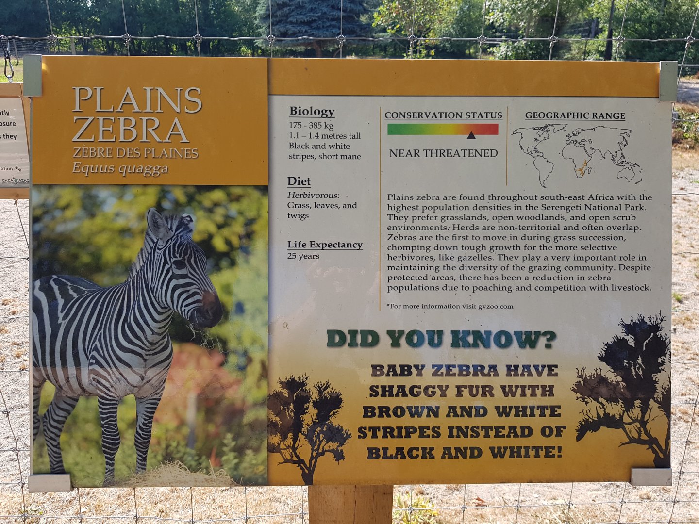 Plains Zebra Sign