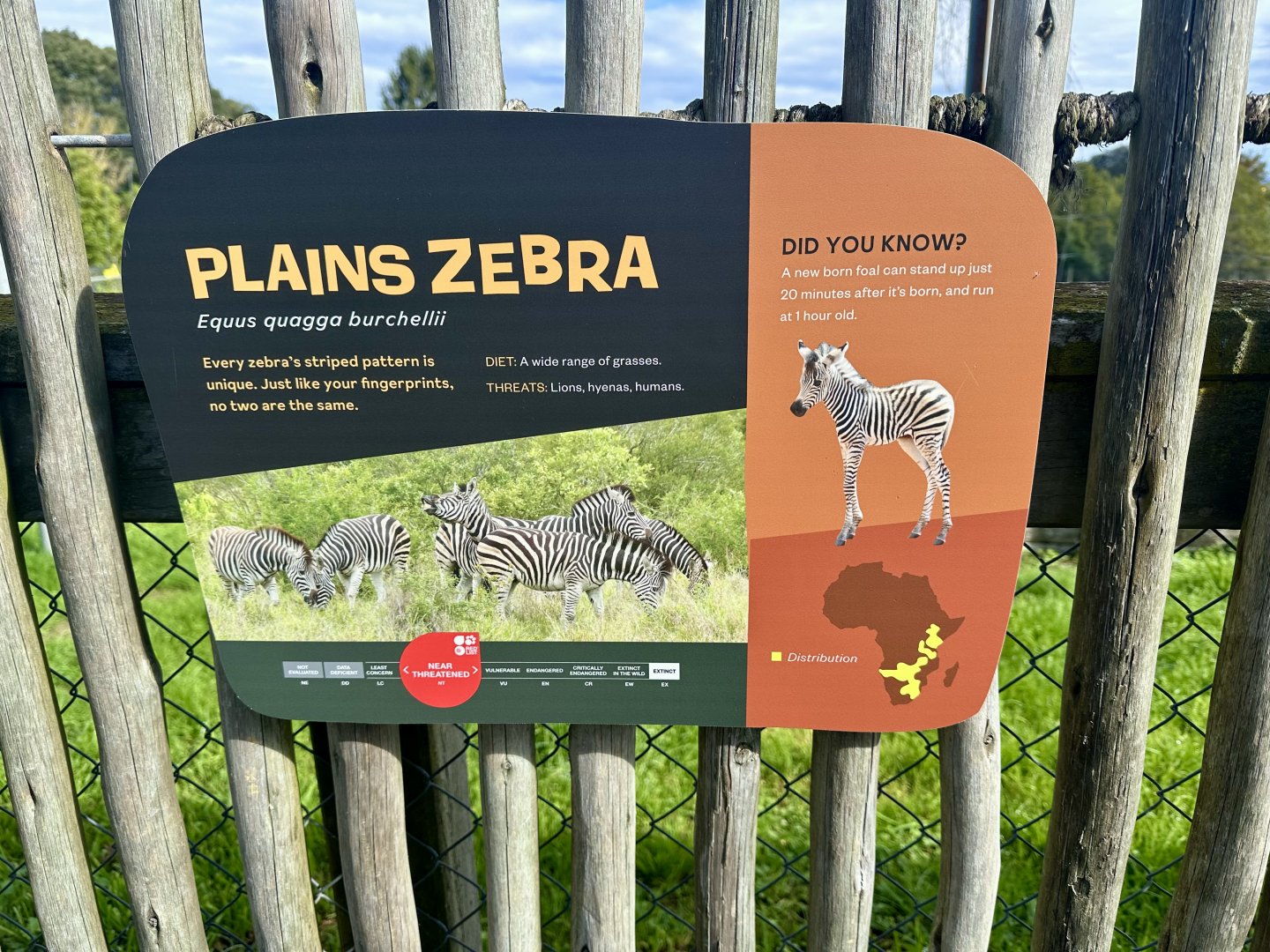 Plains Zebra Signage