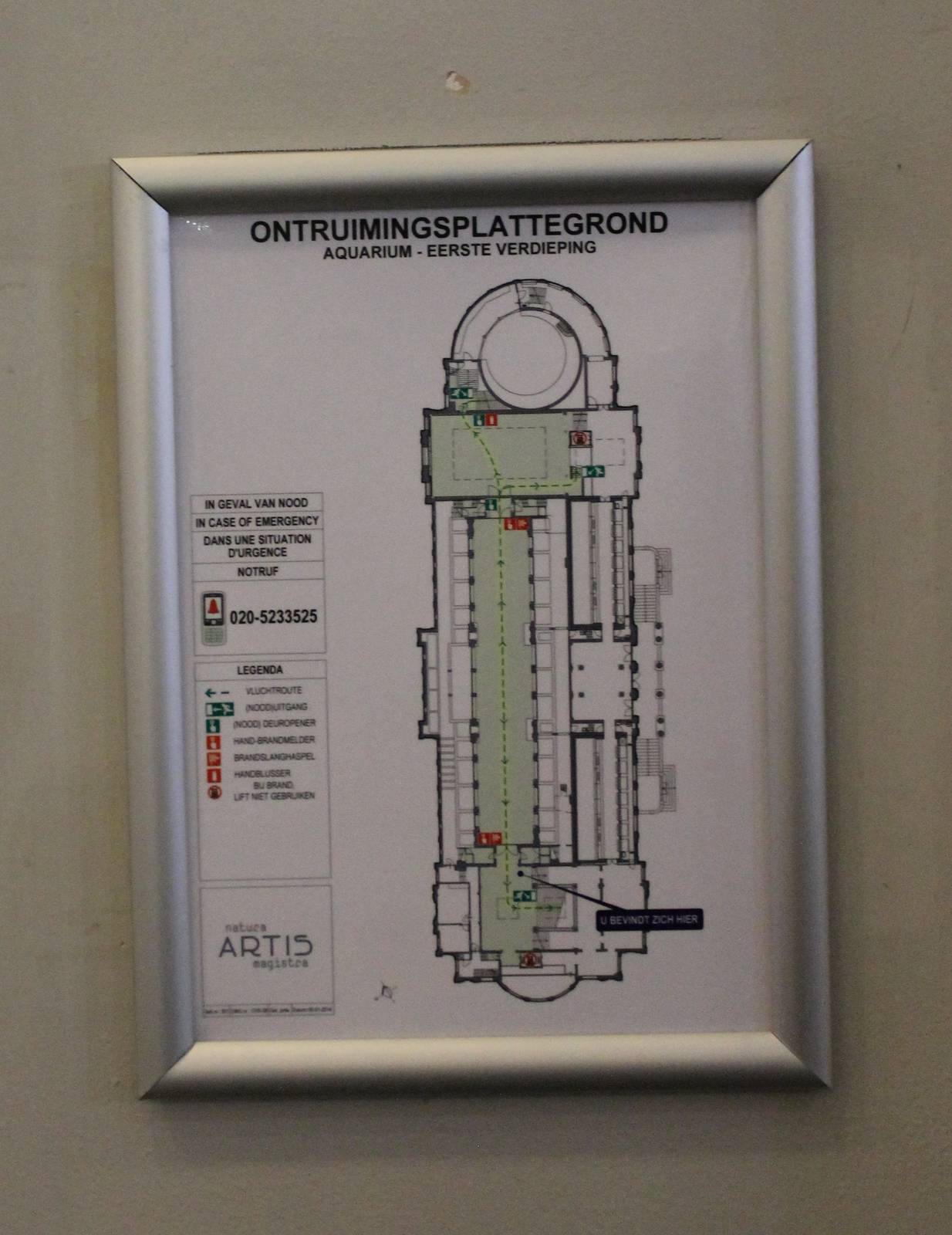 Plan Aquarium - first floor