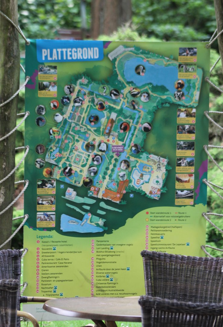 Plan Avifauna 2016