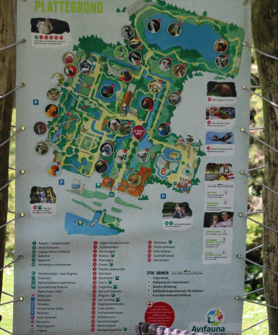 Plan Avifauna 2019