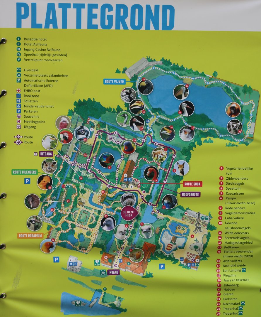 Plan Avifauna - 2021