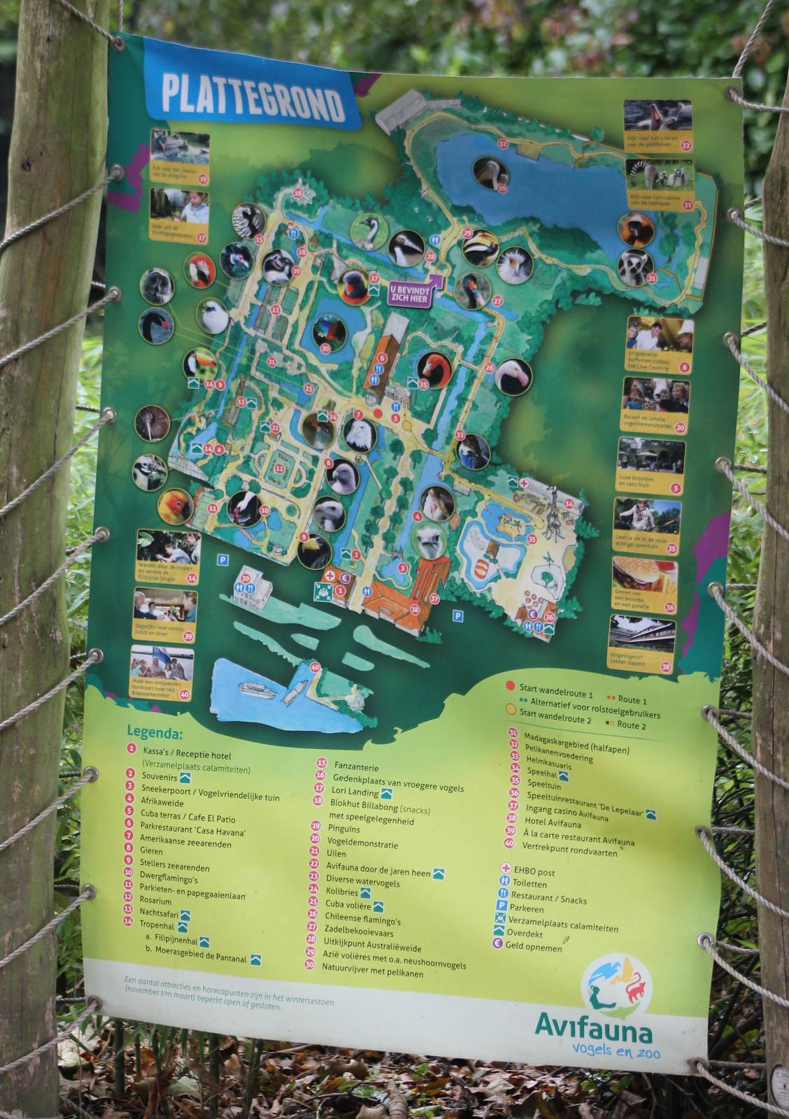 Plan Avifauna