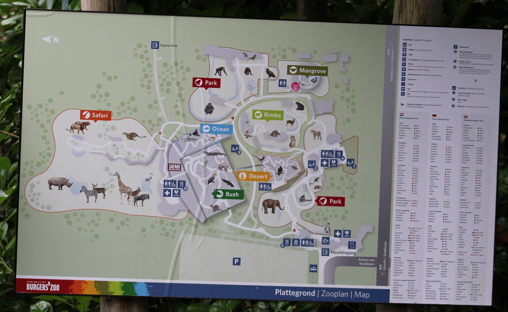 Plan Burgers Zoo 2022