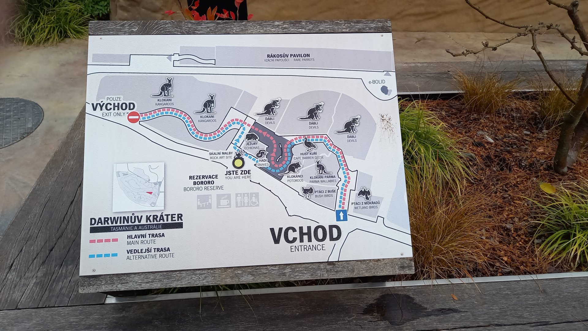 Plan "Darwin Crater"