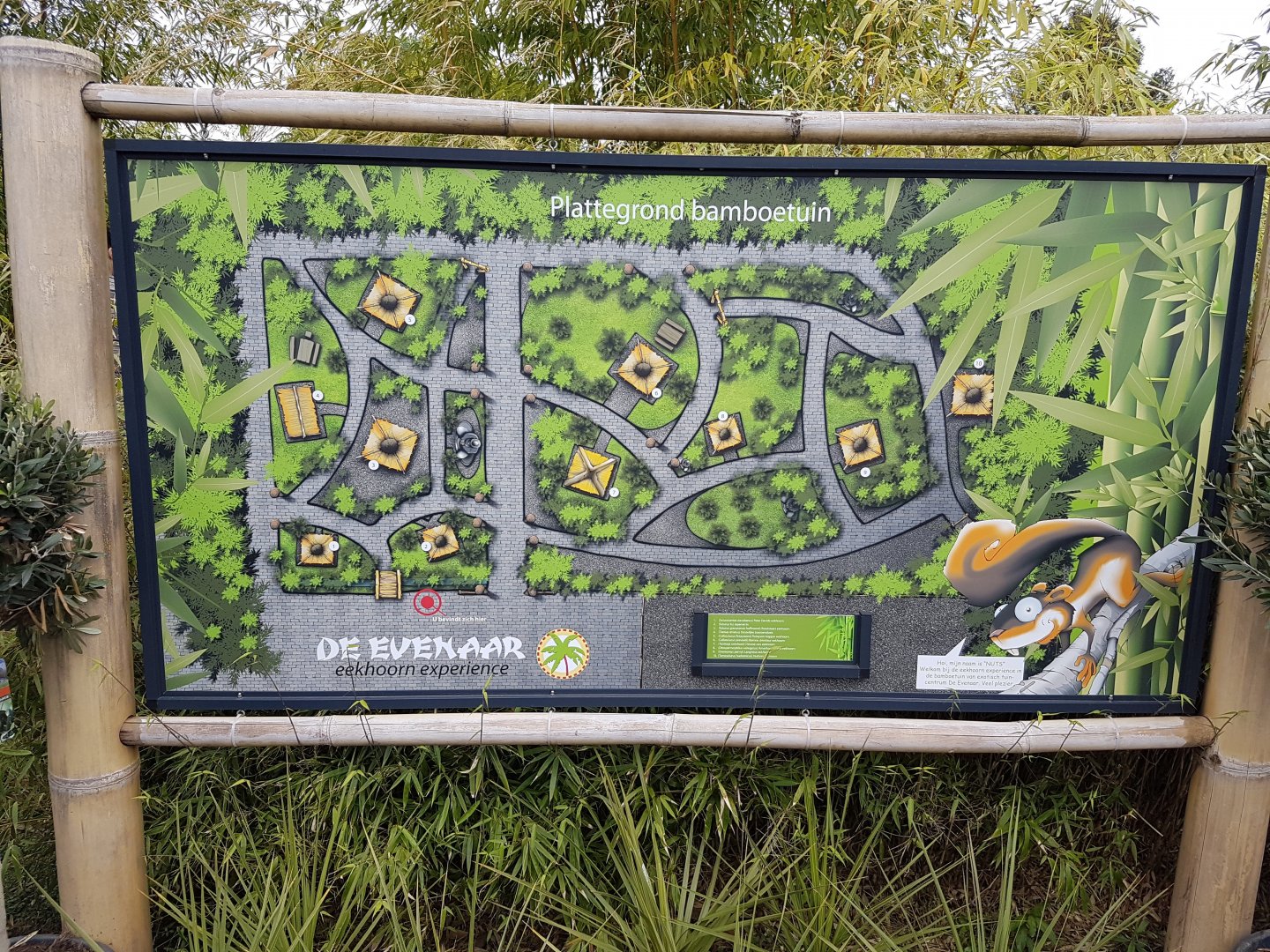 Plan Eekhoorn Experience