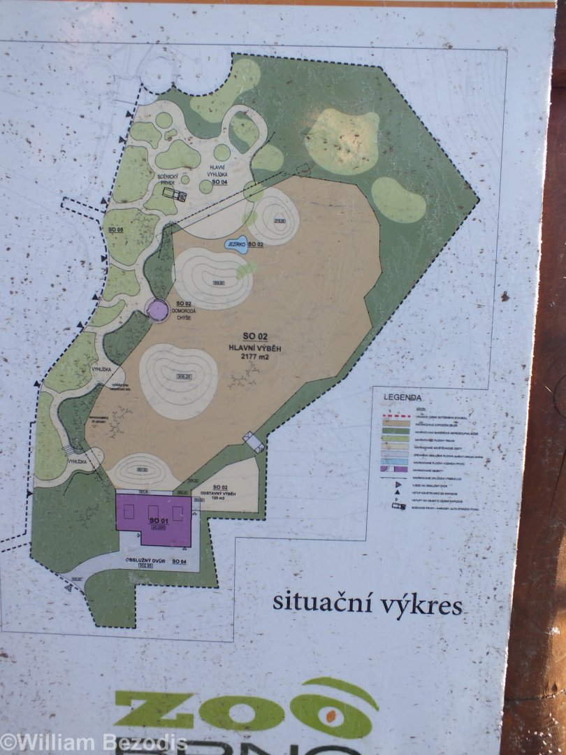 Plan for African Lion Enclosure