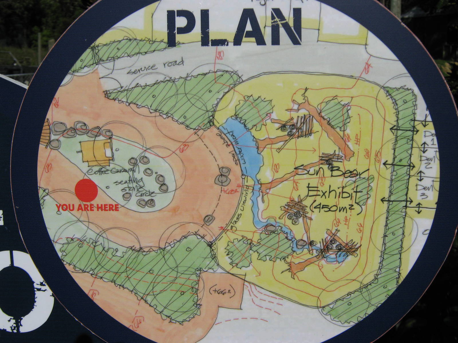 plan for future sun bear enclosure