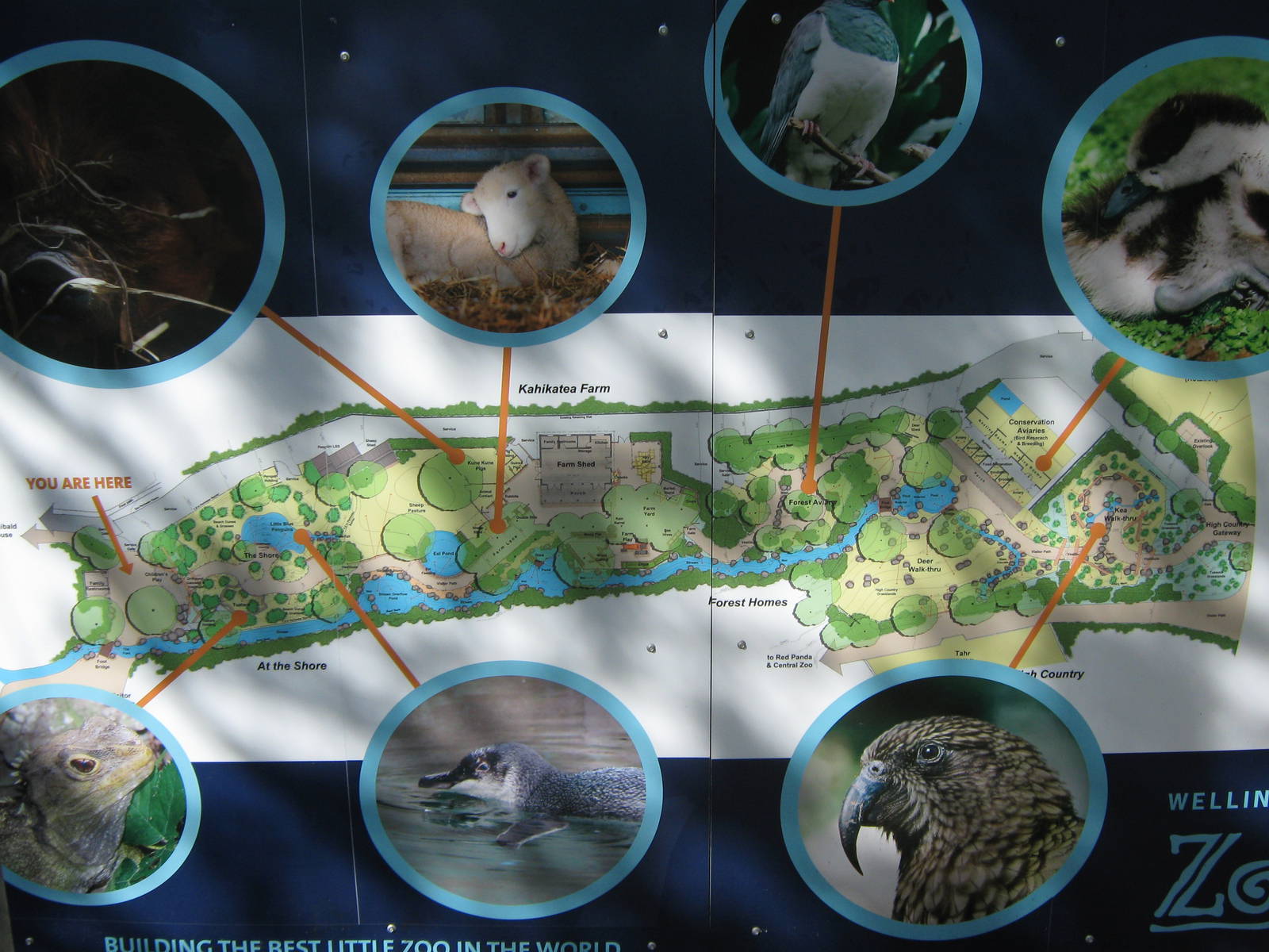 plan for the Meet The Locals development