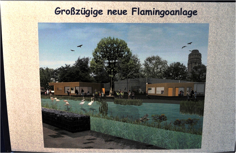 Plan for the new flamingo-enclosure at Bochum