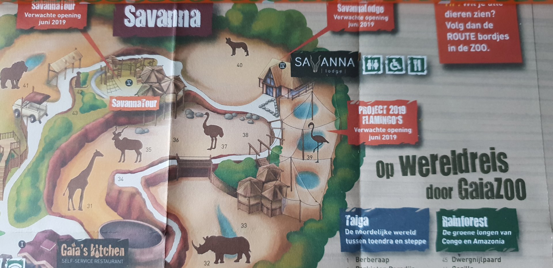 Plan location new SavannaLodge and new Flamingo-aviary