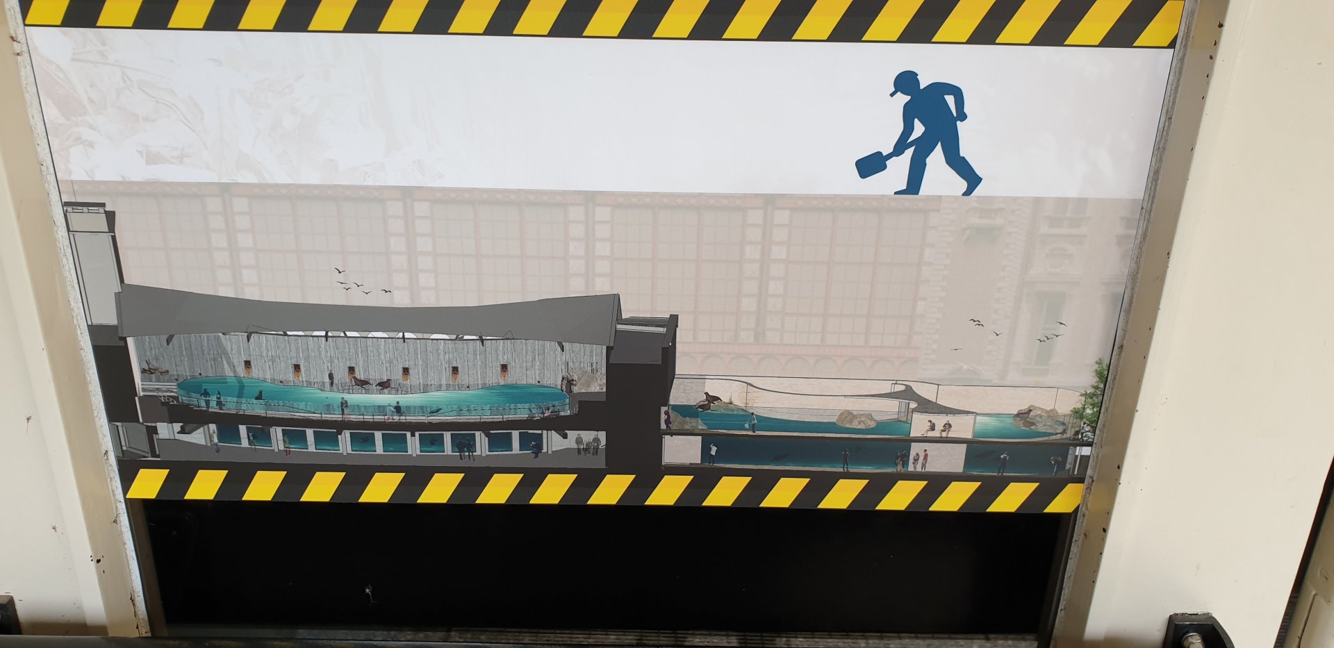 Plan new Sea-lion enclosure