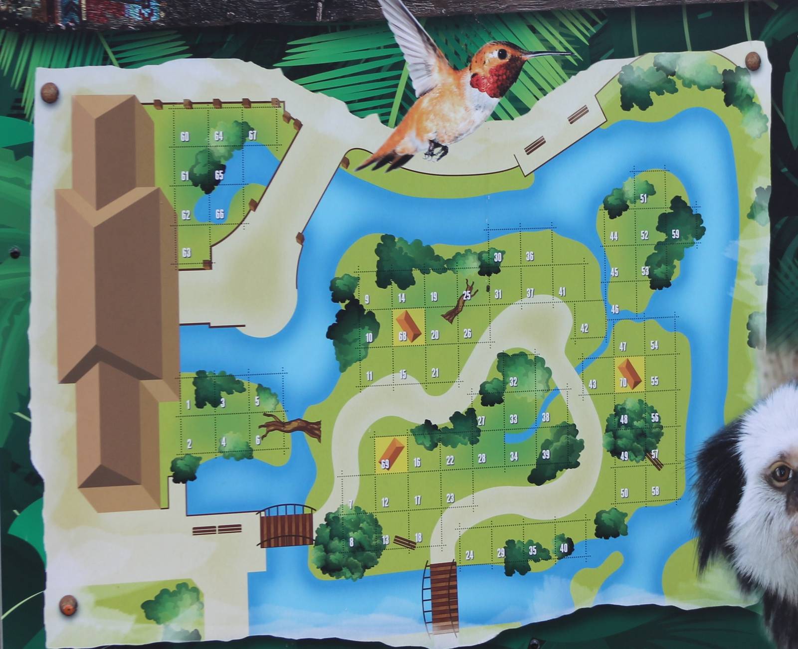 Plan Nuboso - the new South America area