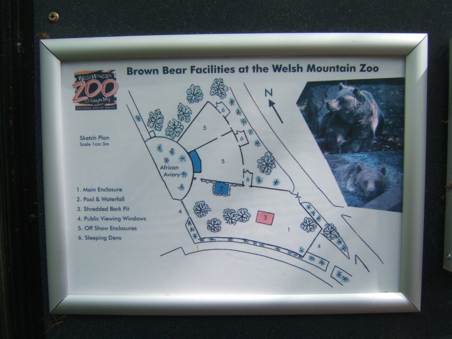 Plan of Brown Bear enclosure 23/04/2019