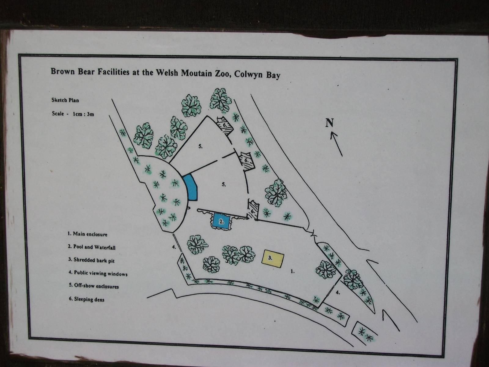 Plan of Brown Bear exhibit 19th May 2013