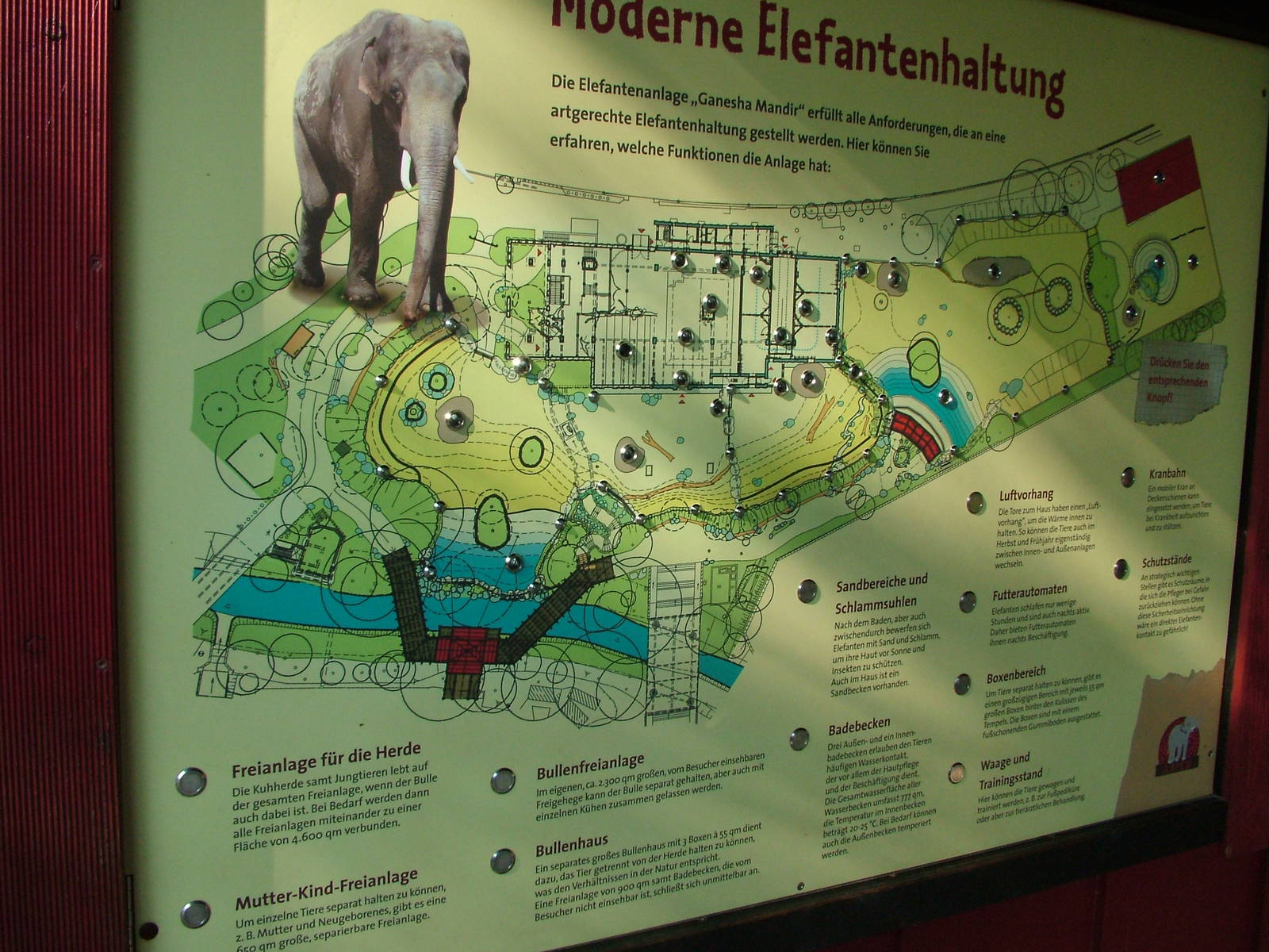 Plan of Elephant Exhibit at Leipzig, 02/09/11