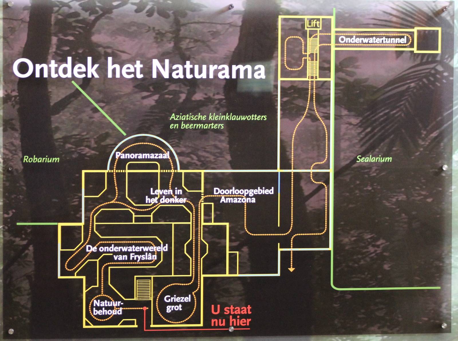 Plan of Naturama