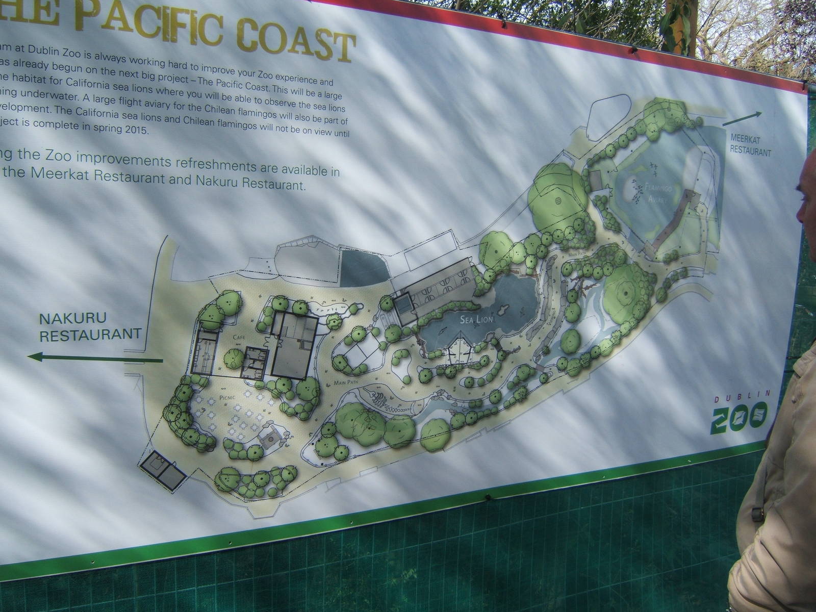 Plan of new sealion enclosure