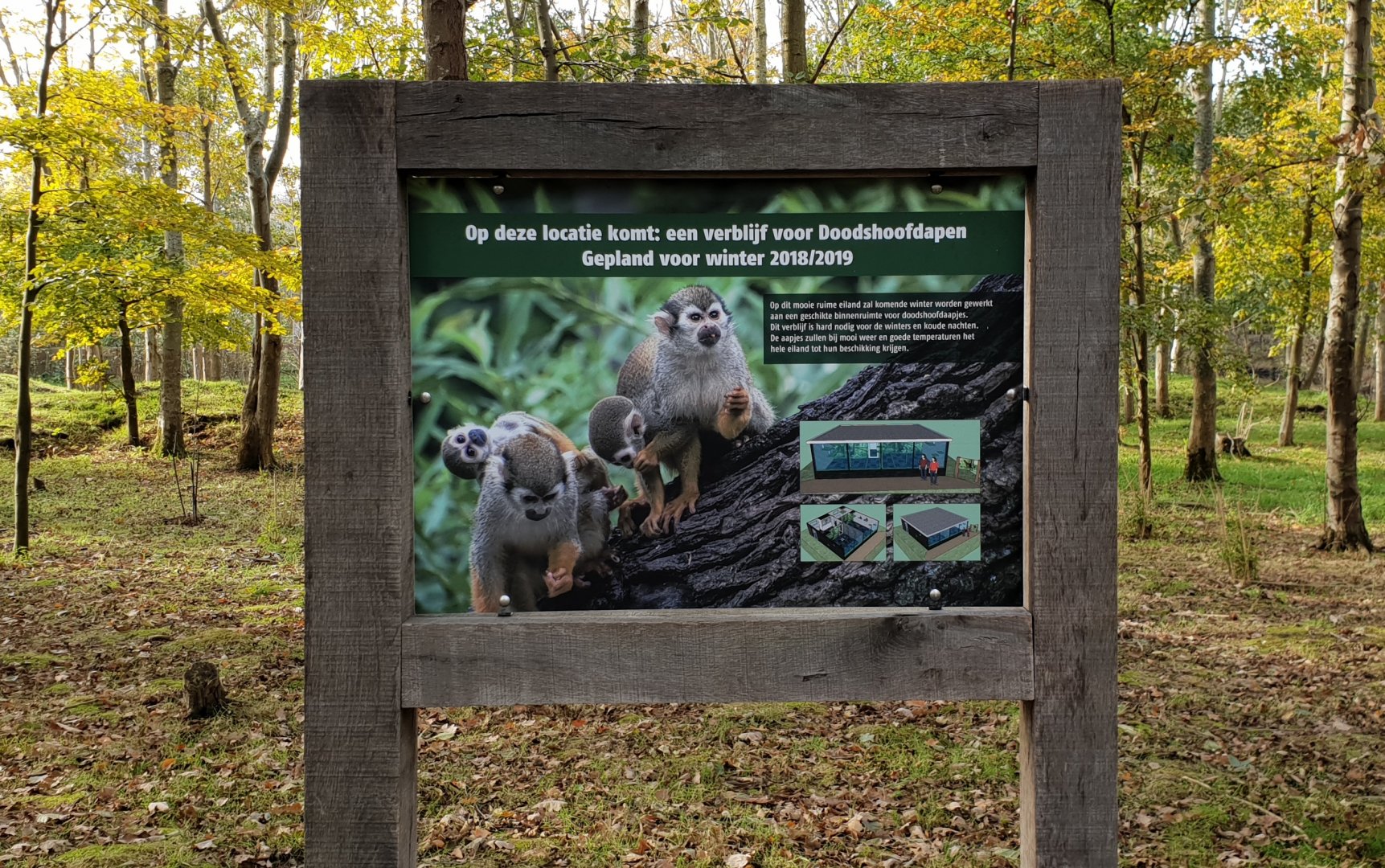 Plan of newly planned Squirrel monkey enclosure