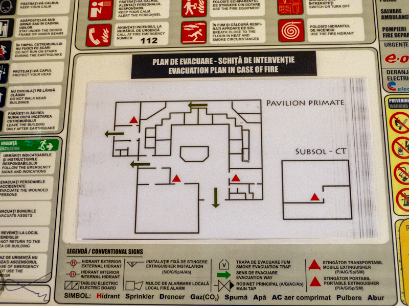 plan of the house of monkeys