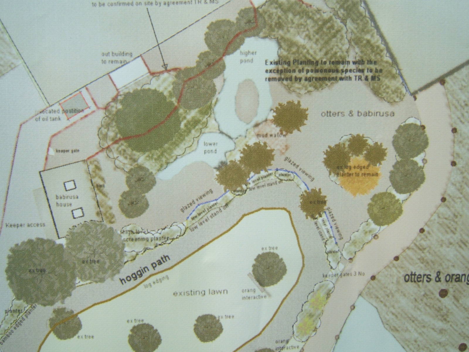 Plan of the Otter and Babirusa exhibit