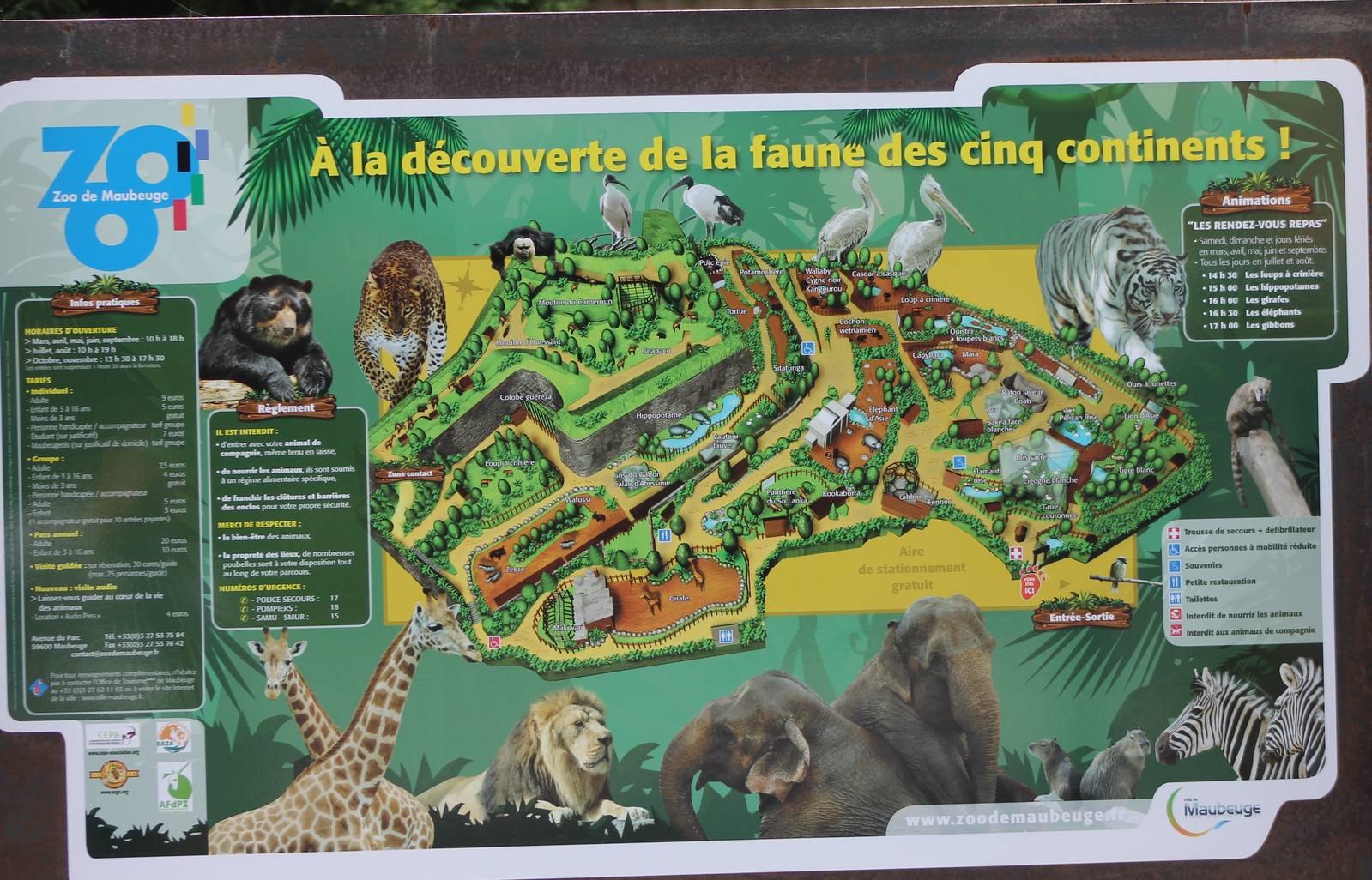 Plan of the zoo