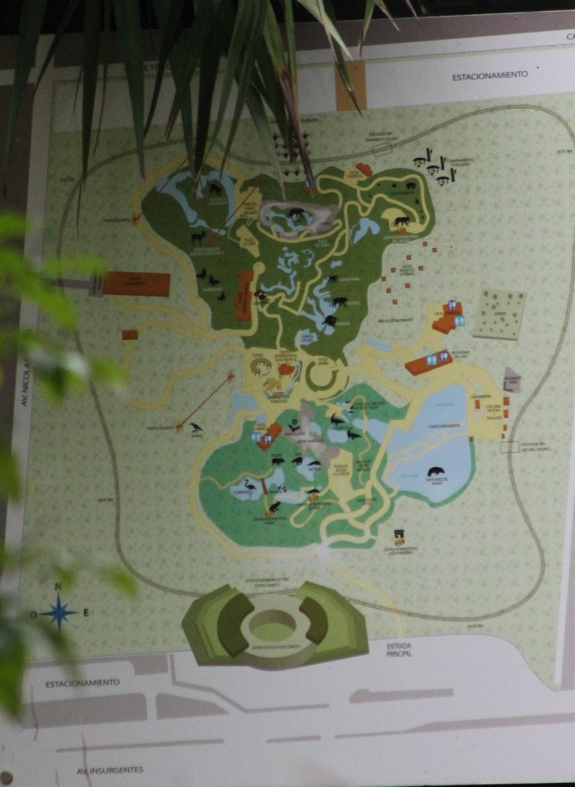 Plan of the Zoo