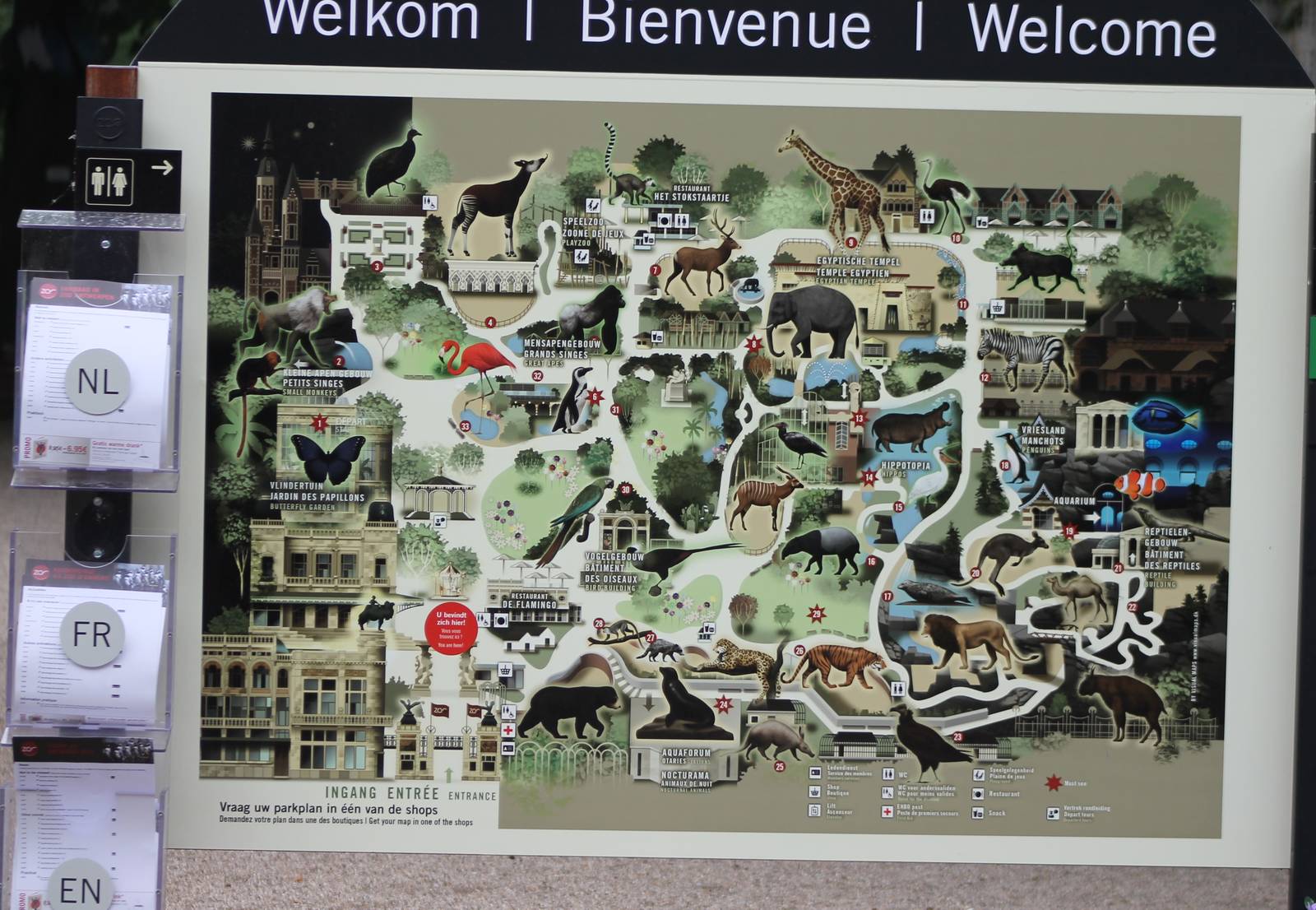 Plan of the zoo