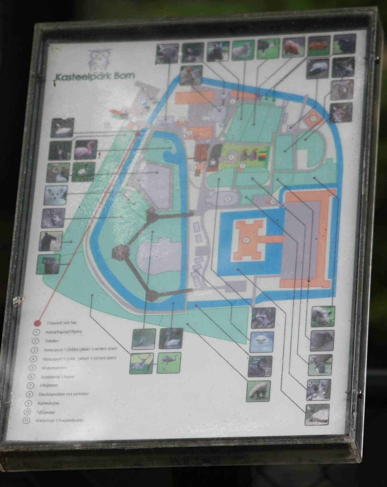 Plan of the zoo
