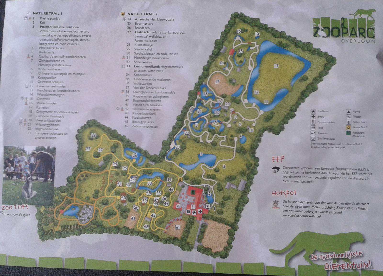 Plan of Zoo Parc Overloon