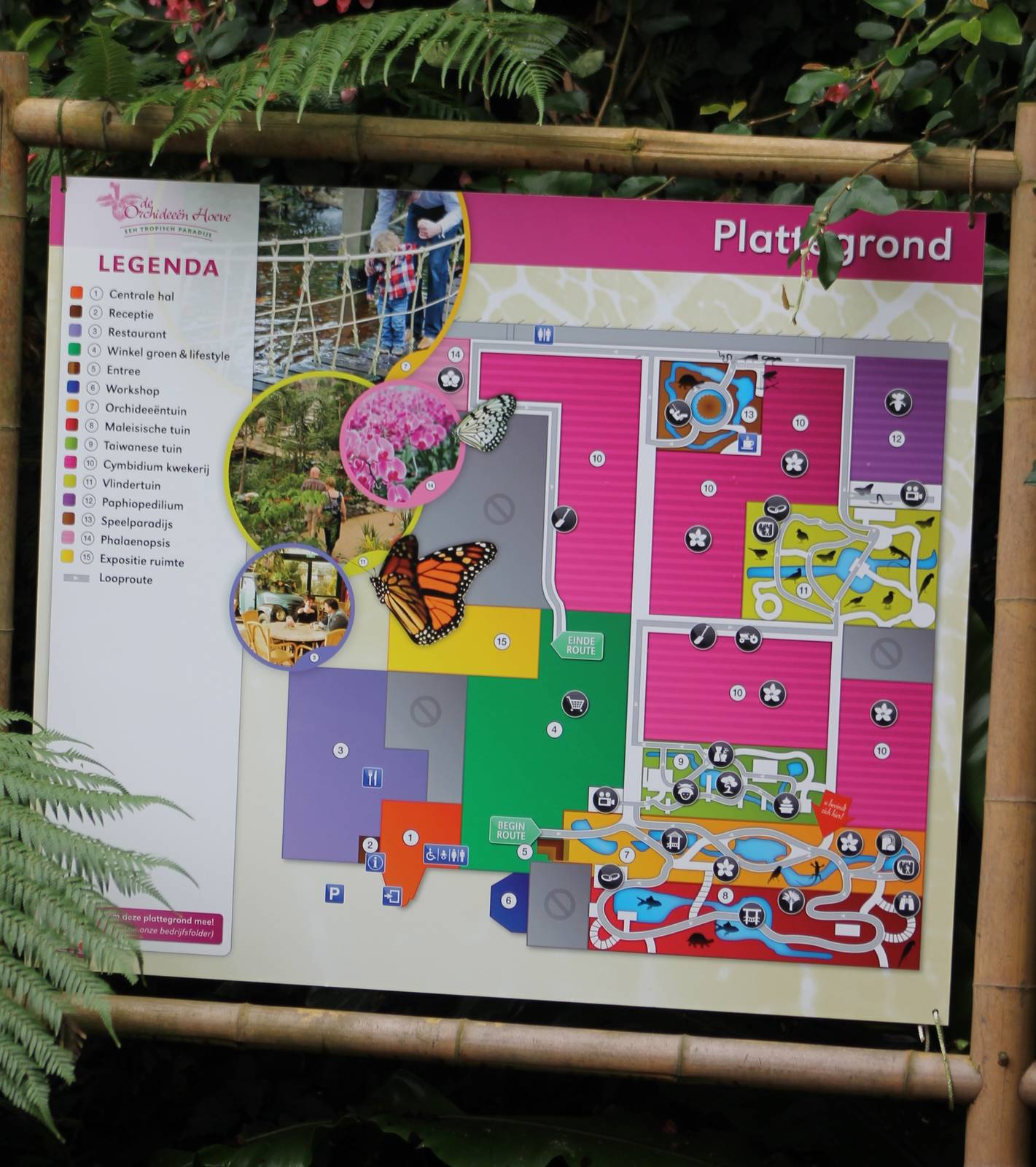 Plan Orchidee?n Hoeve