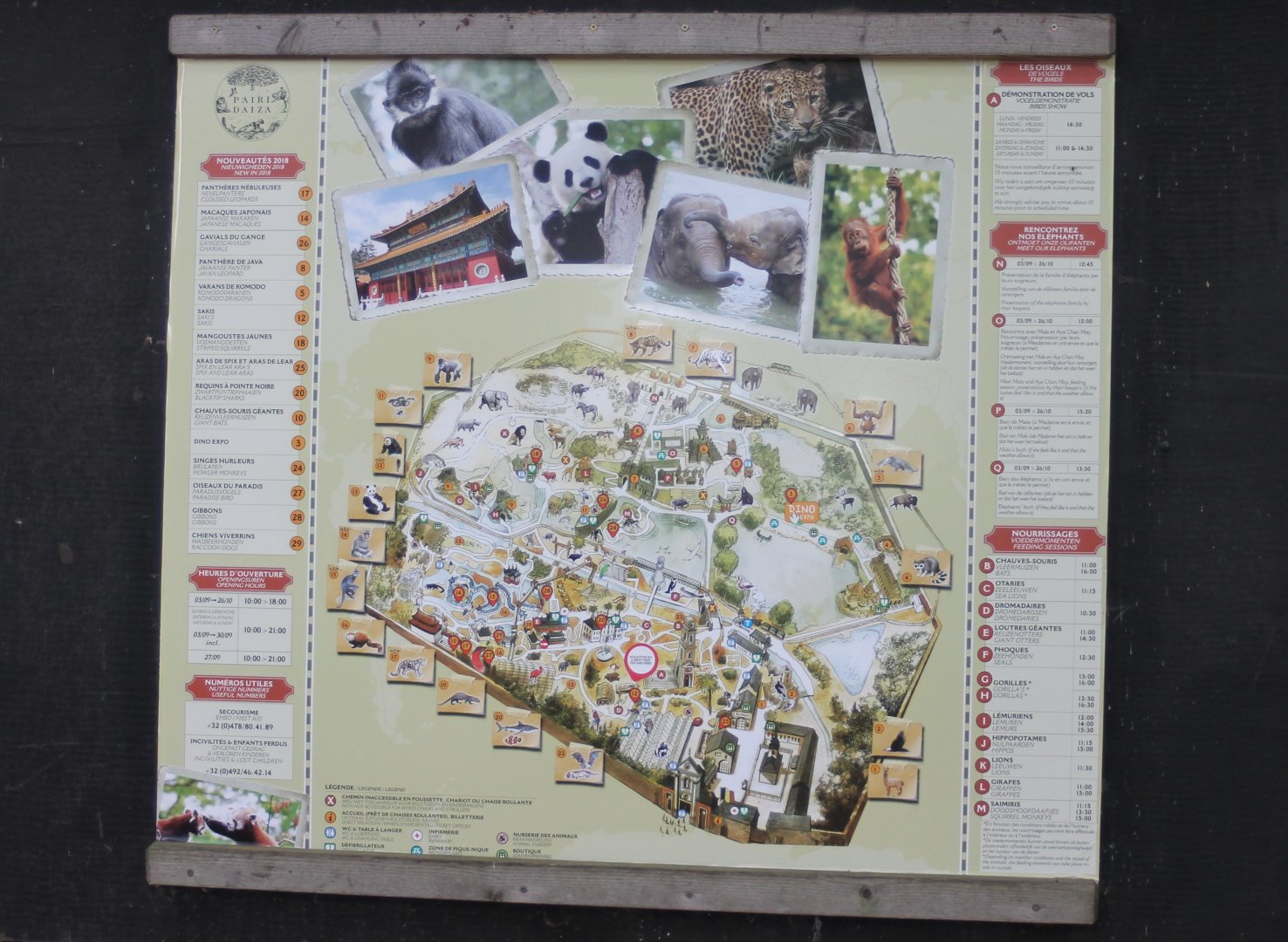 Plan Pairi Daiza 2018