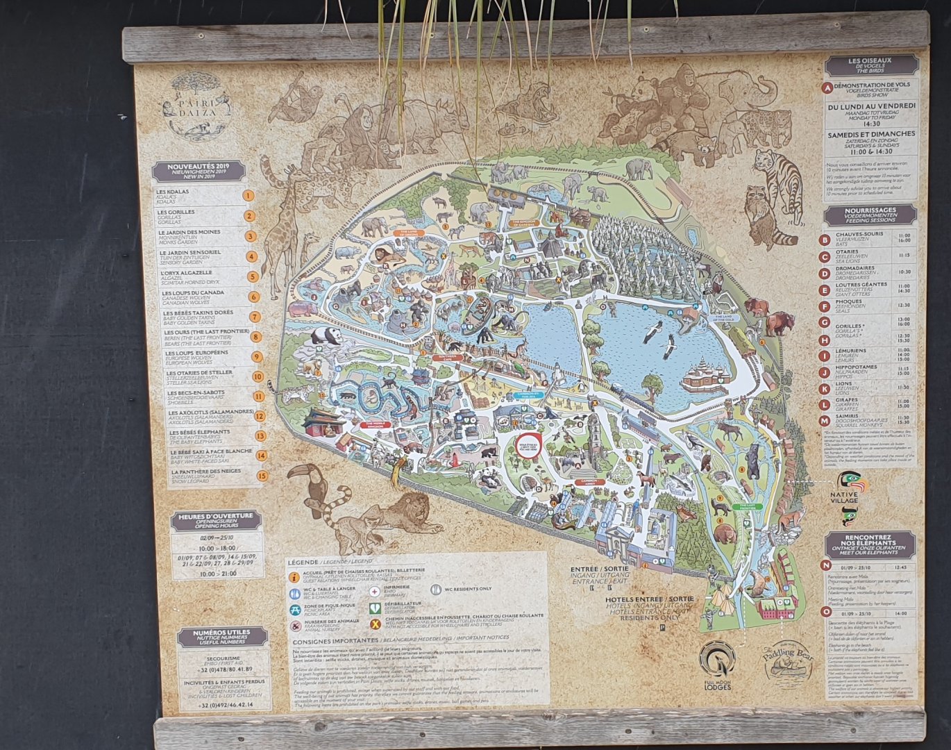 Plan Pairi Daiza - 2019