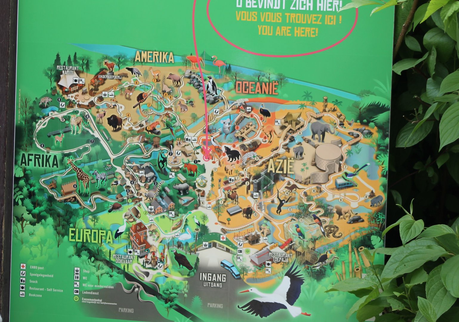 Plan Planckendael 2018