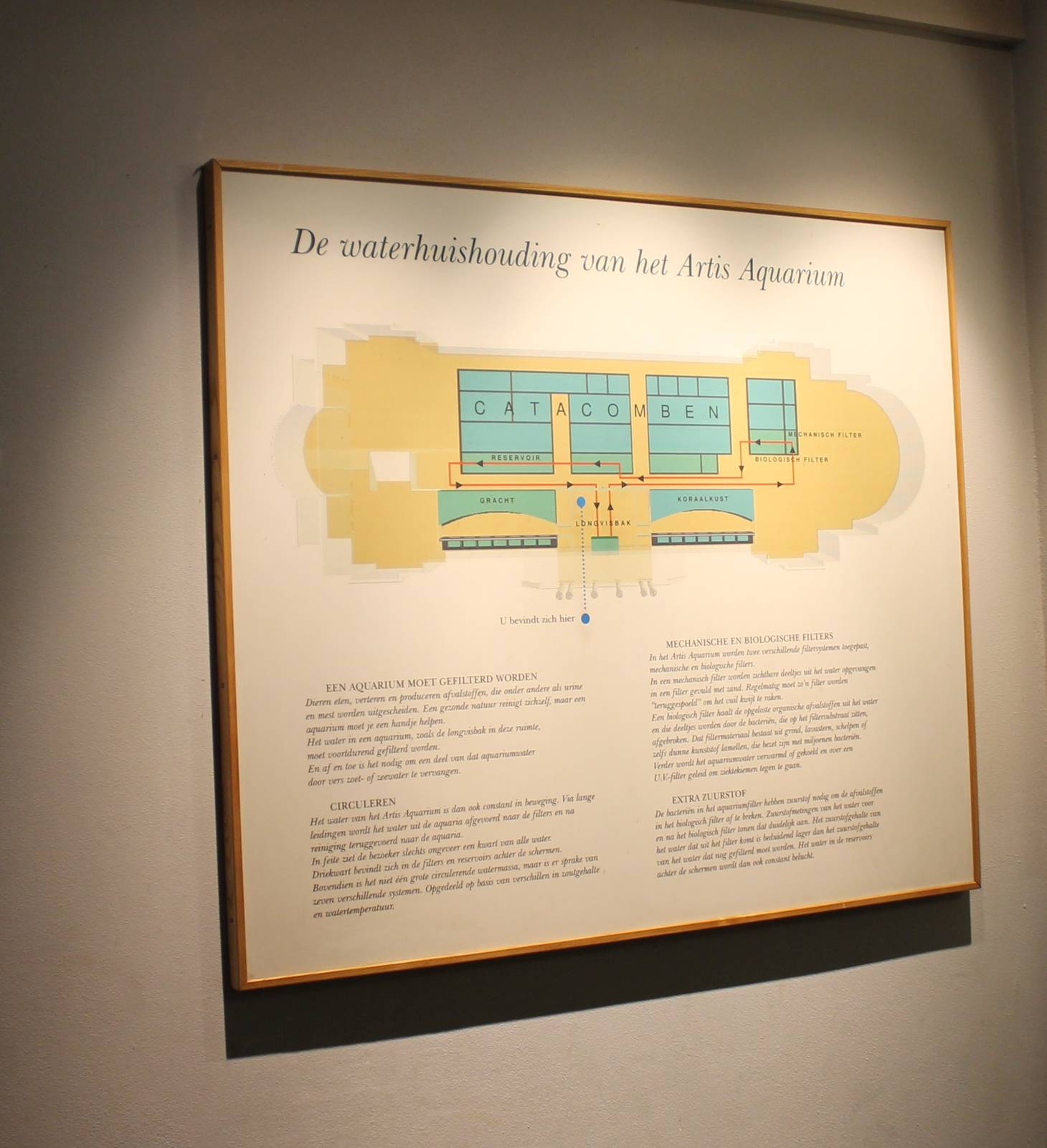 Plan water-managment system