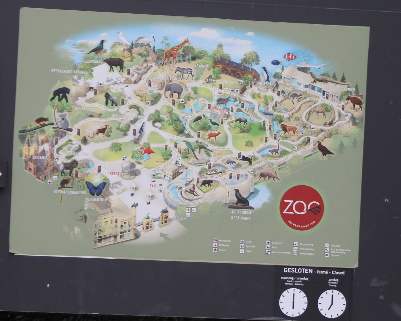 Plan Zoo Antwerp 2018