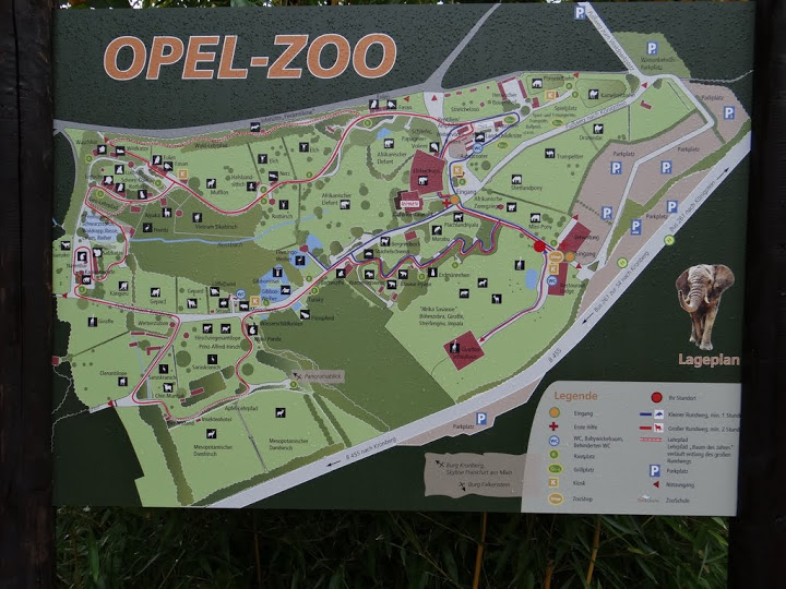 Plan zoo