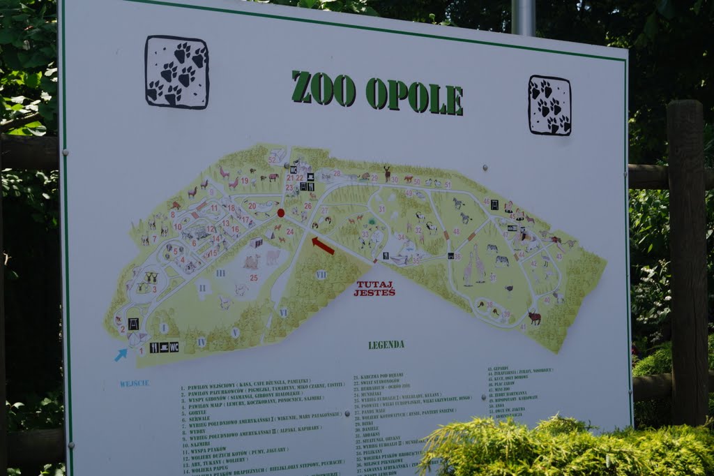 Plan zoo