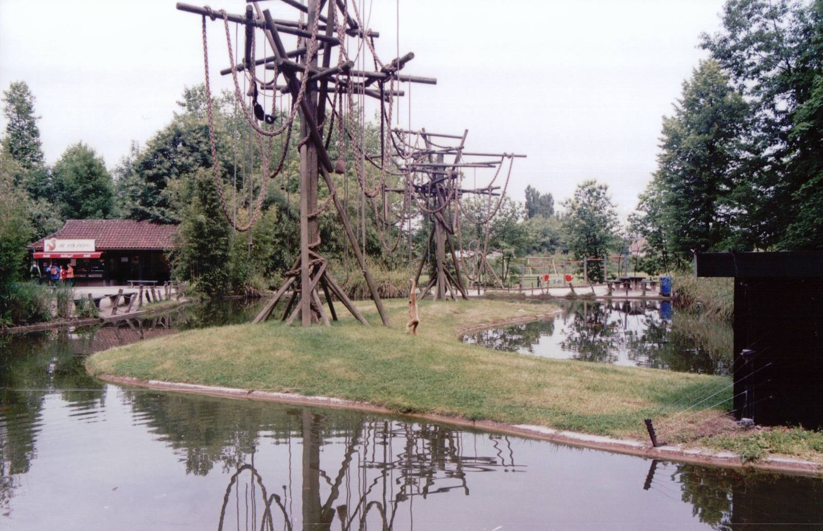 Planckendael 1999 - White-handed and White-cheeked Gibbon exhibit