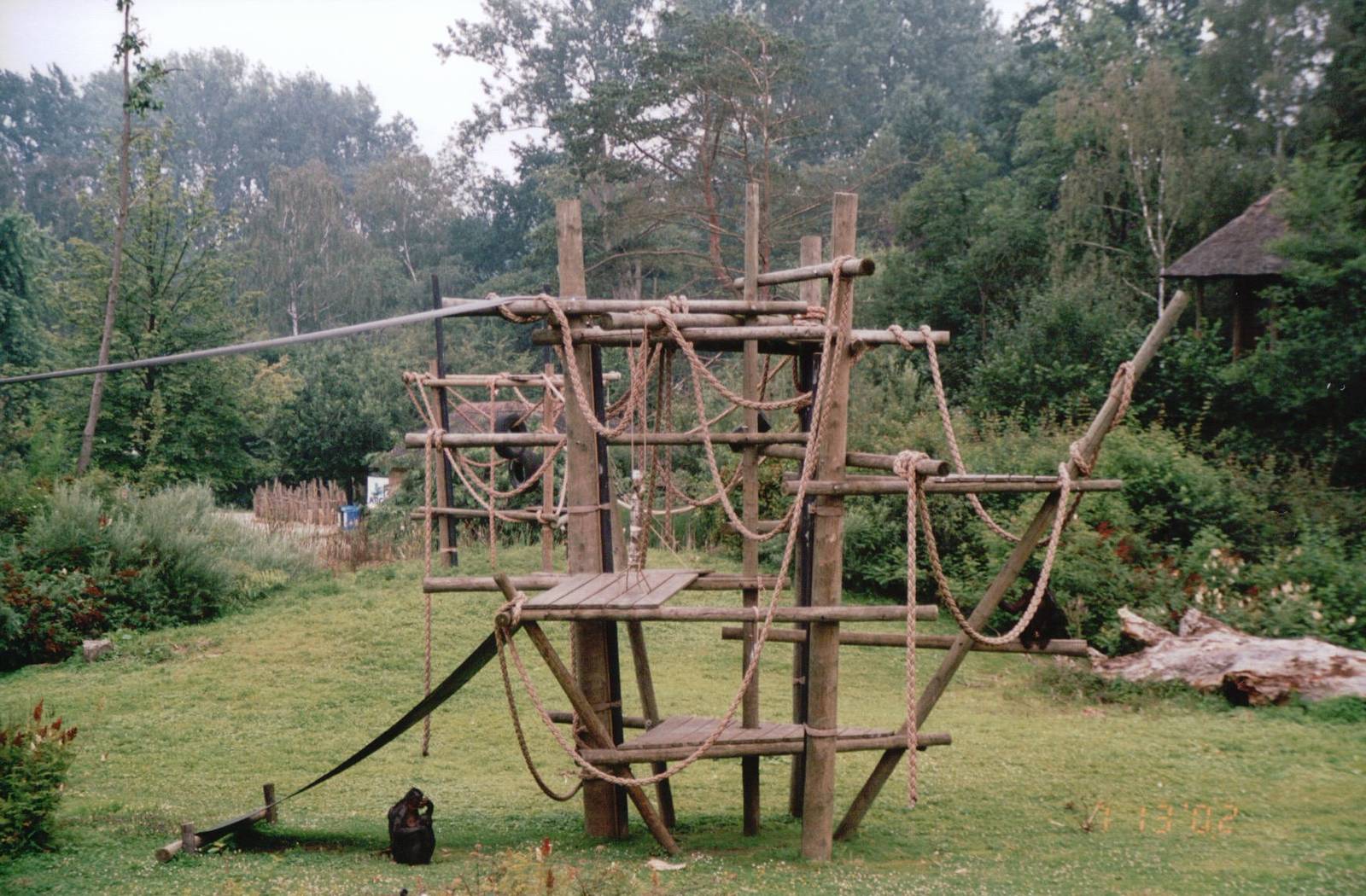 Planckendael 2002 - Bonobo exhibit