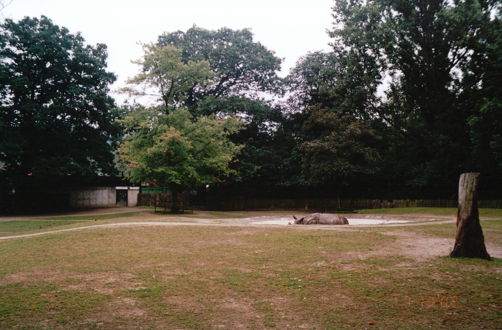Planckendael 2002 - Part of the Indian Rhinoceros paddock