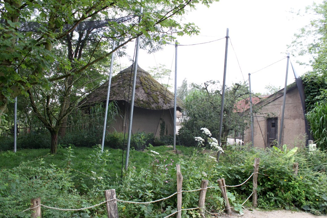 Planckendael - Africa (Aviary)
