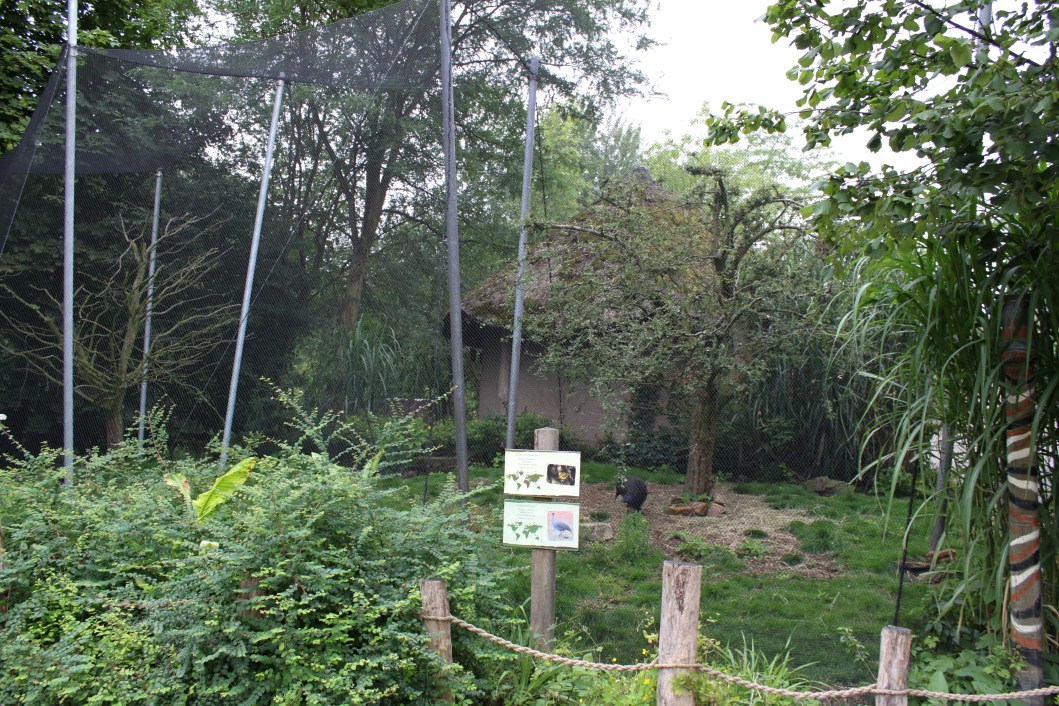 Planckendael - Africa (Aviary)