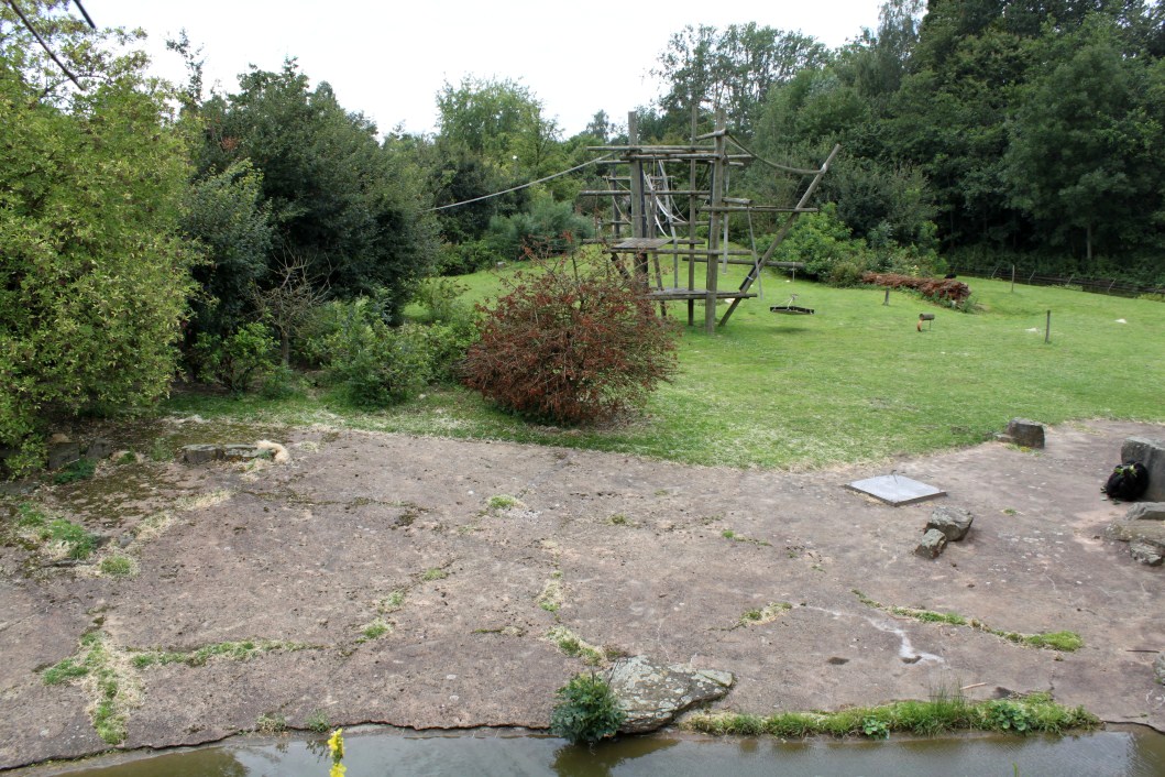 Planckendael - Africa (Bonobo Island)