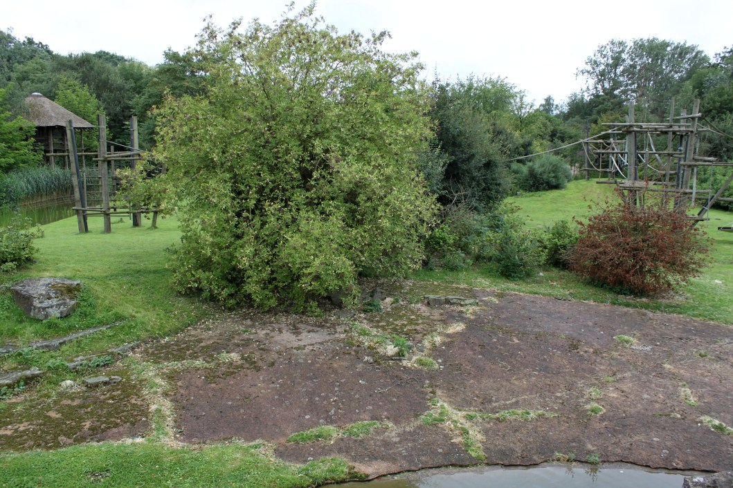 Planckendael - Africa (Bonobo Island)