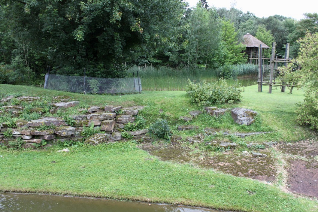 Planckendael - Africa (Bonobo Island)