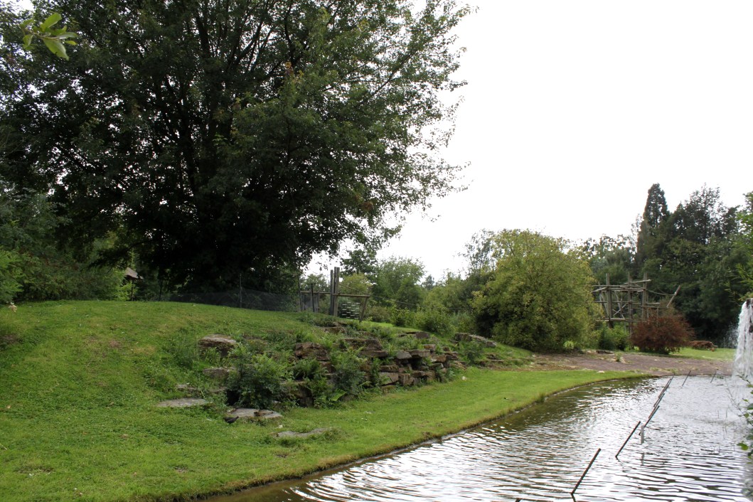 Planckendael - Africa (Bonobo Island)
